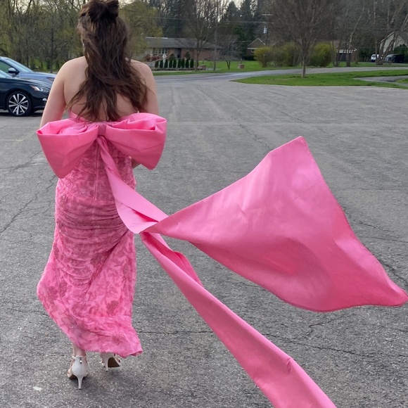 Amarra pink beaded formal gown